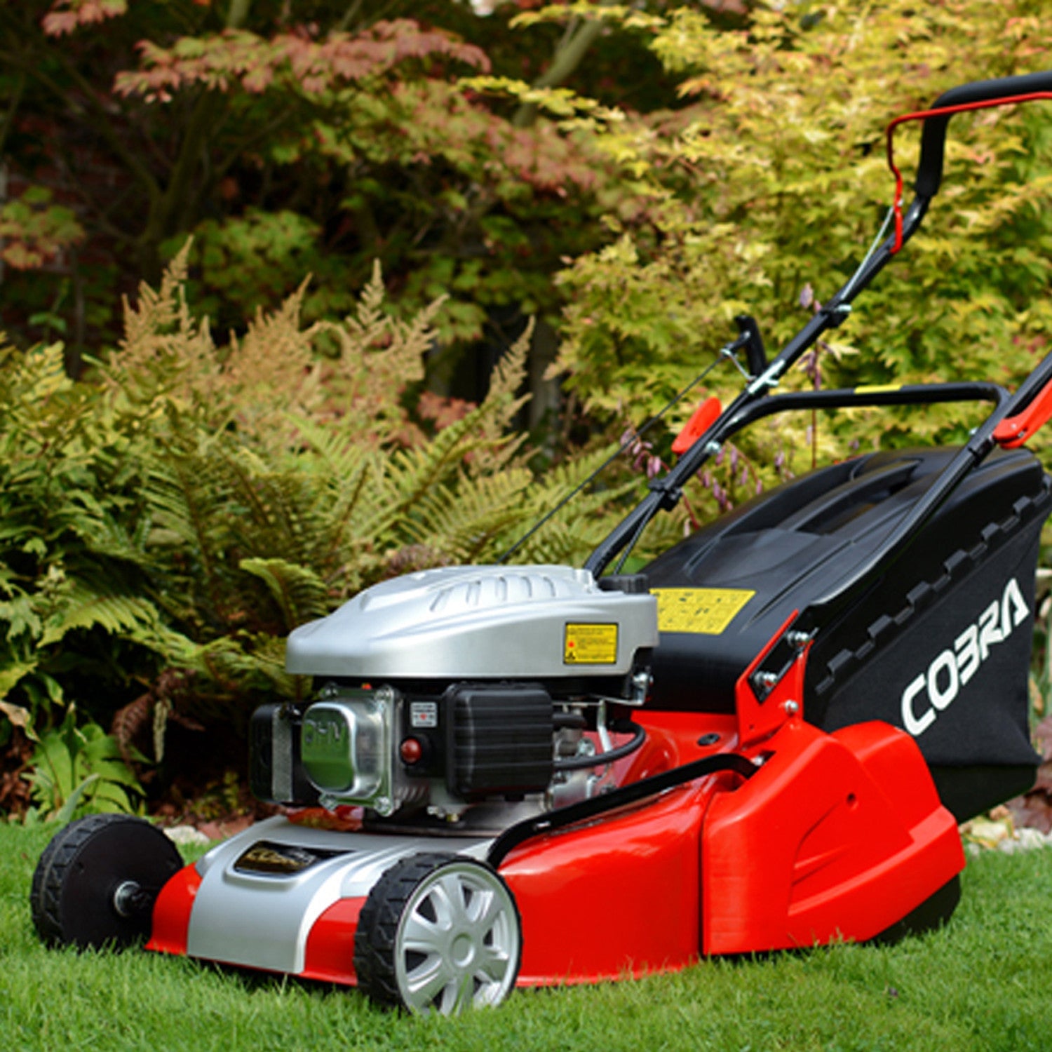 Cobra RM40C Petrol Rear Roller Lawn Mower